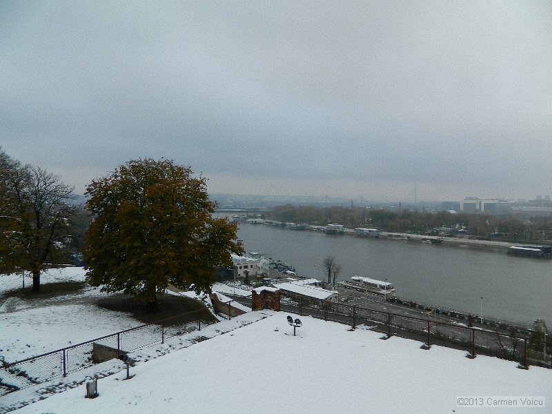 DSCN5407.JPG