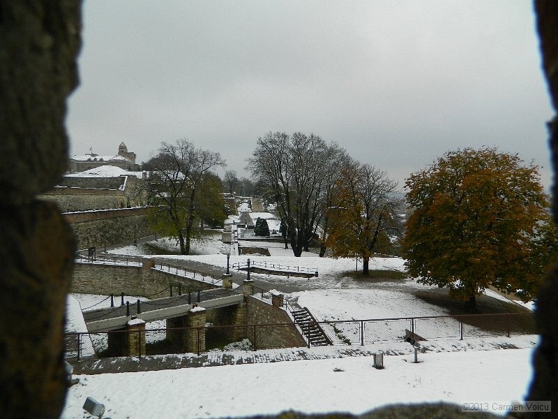 DSCN5414.JPG
