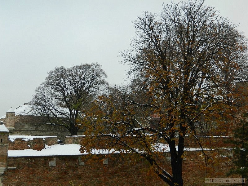 DSCN5423.JPG