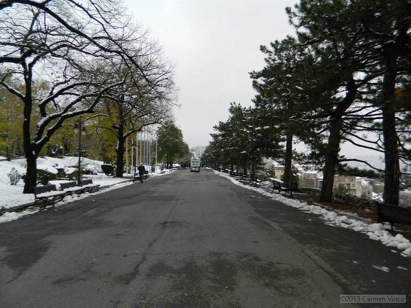 DSCN5425.JPG