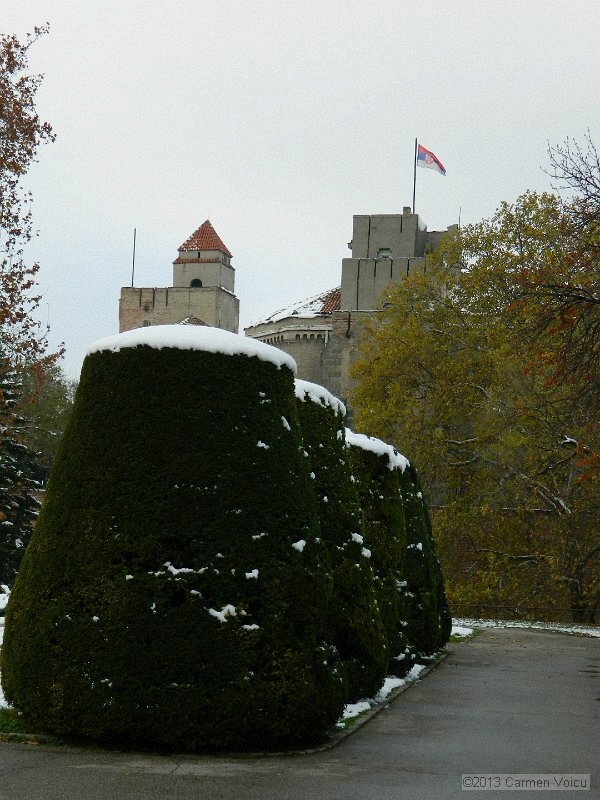 DSCN5426.JPG