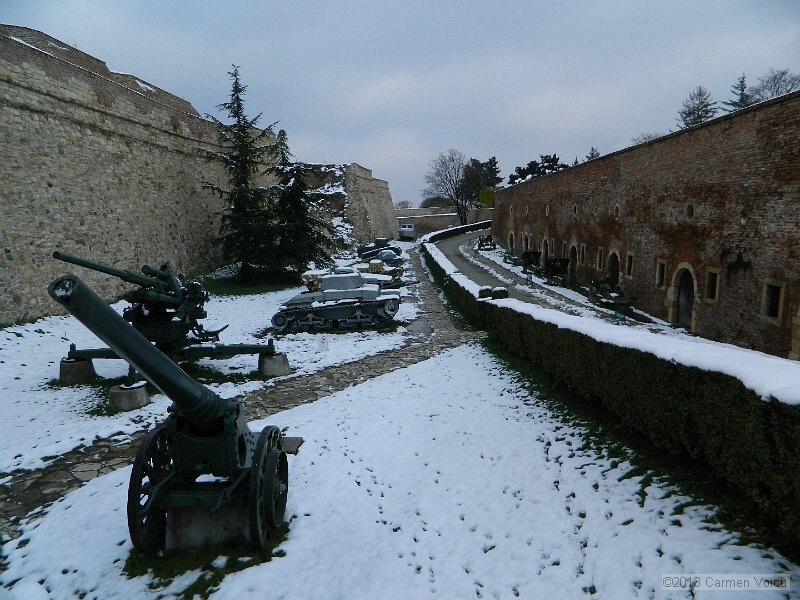 DSCN5428.JPG