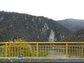 DSCN5371