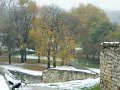 DSCN5387