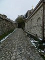 DSCN5388