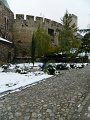 DSCN5393
