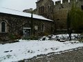 DSCN5394
