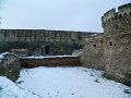 DSCN5398