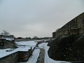 DSCN5401