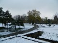 DSCN5402