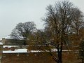 DSCN5423
