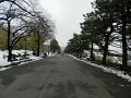 DSCN5425