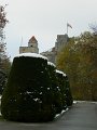 DSCN5426