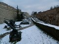 DSCN5428