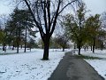 DSCN5434