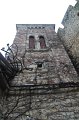 IMG_6377