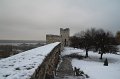 IMG_6390