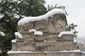 IMG_6407