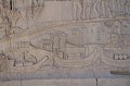 IMG_4335