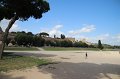 IMG_4421