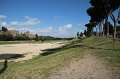IMG_4423