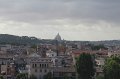 IMG_4441