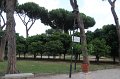 IMG_4463
