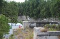 IMG_4497