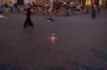 IMG_4501