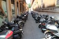 IMG_4559