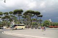 IMG_4561