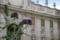 IMG_4580