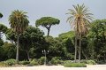 IMG_4593