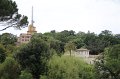 IMG_4656