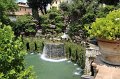 IMG_4726