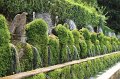 IMG_4750