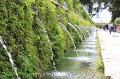 IMG_4751