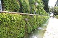 IMG_4752