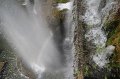 IMG_4761