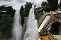 IMG_4764