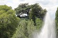 IMG_4765