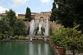 IMG_4768