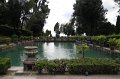 IMG_4770
