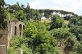 IMG_4777