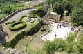 IMG_4786
