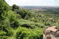 IMG_4787