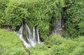 IMG_4794