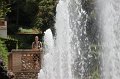 IMG_6376