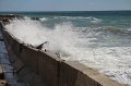 IMG_9468