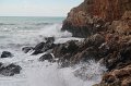 IMG_9481